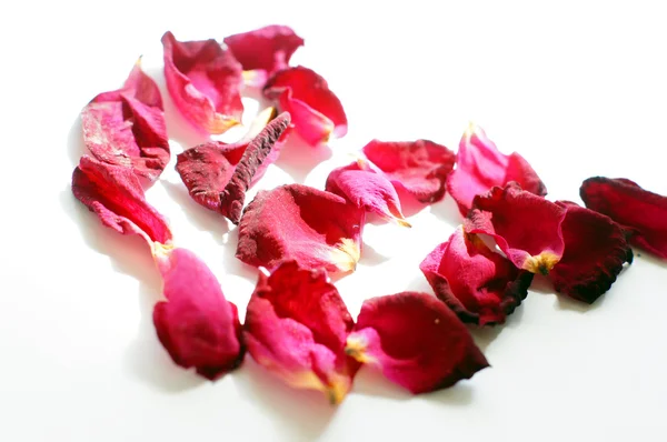 Rode harten en rozenblaadjes op de witte achtergrond — Stockfoto