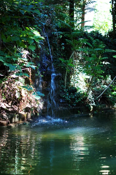 Grande cachoeira floresta tropical, raios de sol e rochas musgosas — Fotografia de Stock