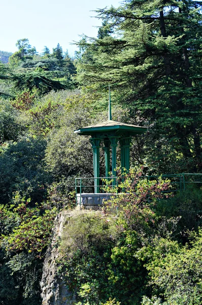 Paisagem de outono: estrada no jardim botânico de Tbilisi — Fotografia de Stock