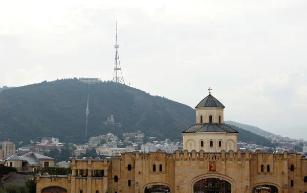 The biggest orthodox cathedral of Caucasus region - St. Trinity — Stock Photo, Image