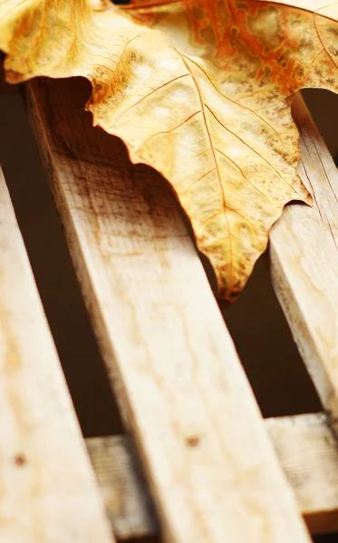 Hoja de arce amarillo otoño en el escritorio de madera —  Fotos de Stock
