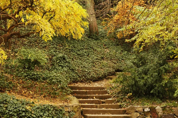 Herfstlandschap: weg in de botanische tuin van Tbilisi — Stockfoto