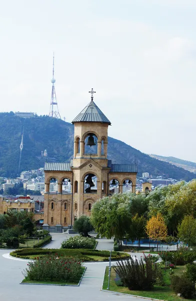 De grootste orthodoxe kathedraal van de regio van de Kaukasus - st. trinity — Stockfoto