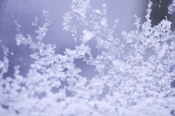 Płatki śniegu — Zdjęcie stockowe