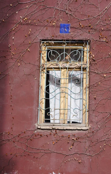 Art-Nouveau decorated window — Stock Photo, Image