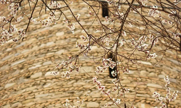 Stará ulice tbilisi — Stock fotografie