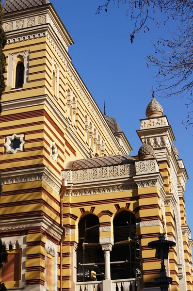 Tbilisi Opera House — Stock Photo, Image