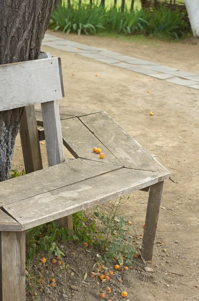 Apricot — Stock Photo, Image