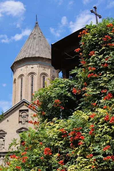 Tiflis-Architektur — Stockfoto