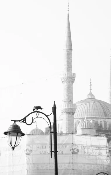 Blue mosque in Istanbul, Turkey — Stock Photo, Image