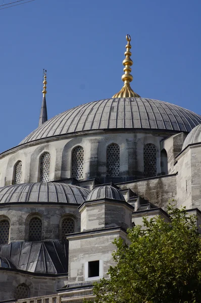 Mosquée bleue à Istanbul, dinde — Photo