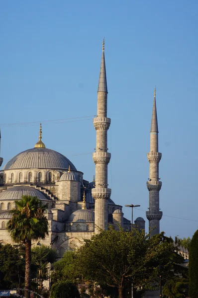 Голубая мечеть в Истанбуле, индейка — стоковое фото