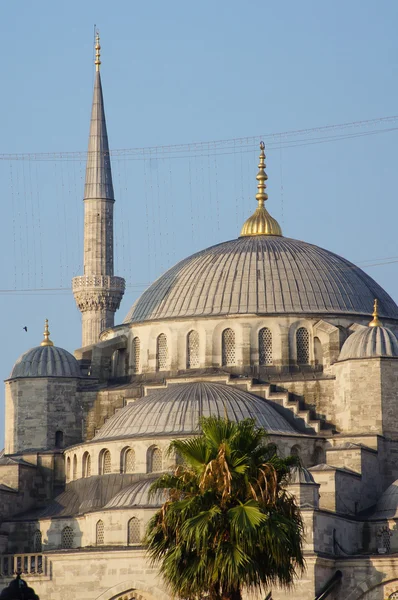Kék mecset isztambulban, pulyka — Stock Fotó