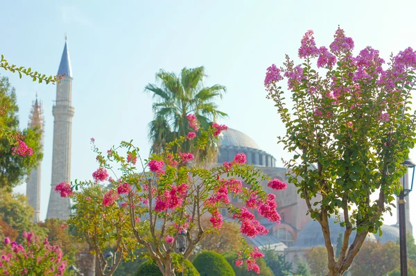 Hagia Sophia — Stockfoto