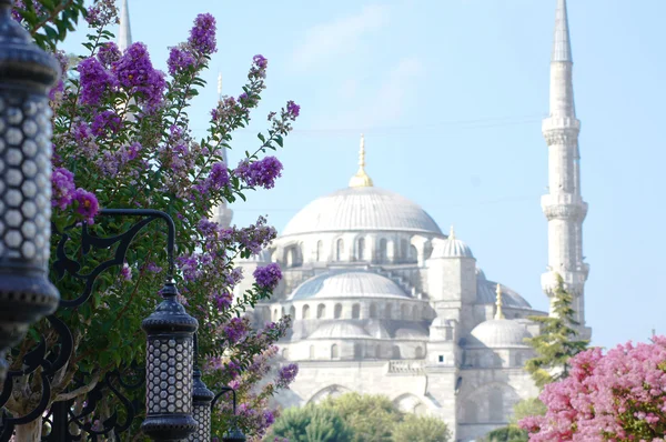 Blaue Moschee in Istanbul, Türkei — Stockfoto