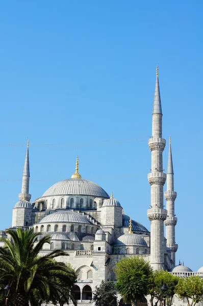 Mezquita azul en Estambul, pavo —  Fotos de Stock