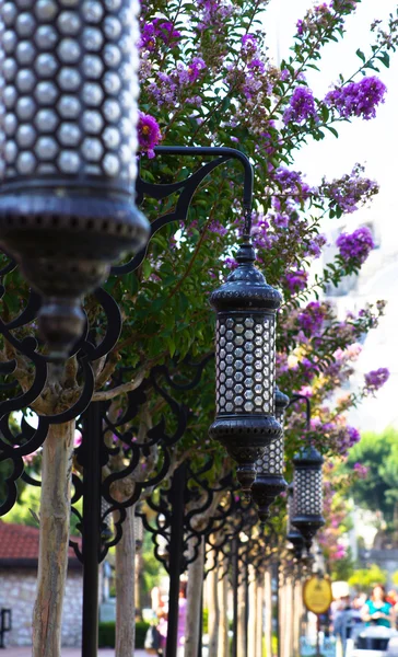 Park in Instanbul — Stock Photo, Image