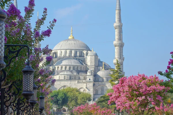 Mezquita azul en Estambul, pavo — Foto de Stock