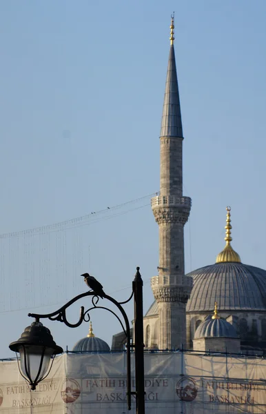 Blauwe moskee in Istanbul, kalkoen — Stockfoto