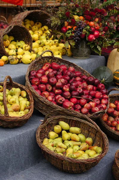 Herfst vruchten — Stockfoto