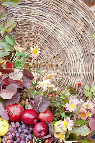 Herbstblumen und Früchte — Stockfoto