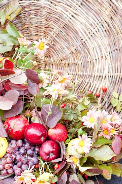 Autumn flowers and fruits — Stock Photo, Image