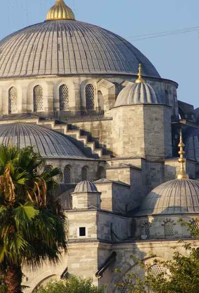 Mosquée bleue à Istanbul, dinde — Photo