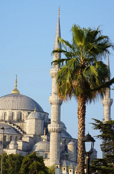 Modrá mešita v istanbulu, krocan — Stock fotografie