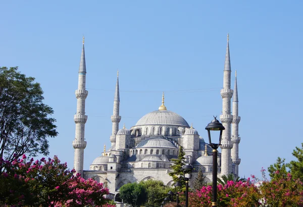 Mezquita azul en Estambul, pavo —  Fotos de Stock