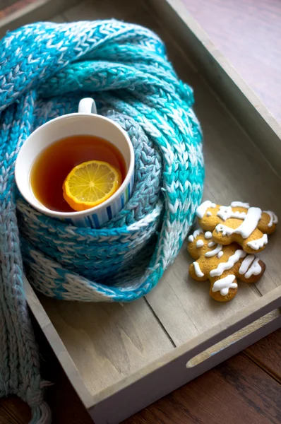 Kopp varm te i kalla tiden — Stockfoto