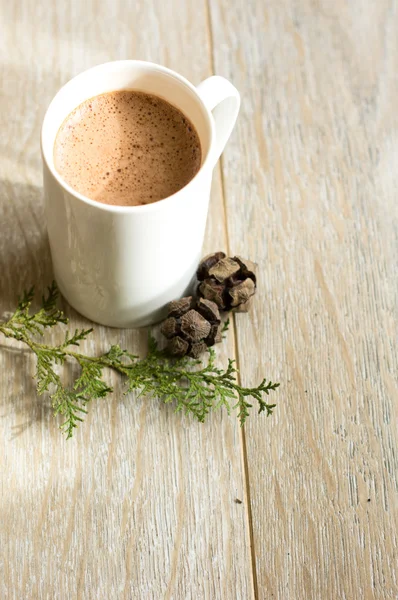 Cacao drink in the mug — Stock Photo, Image