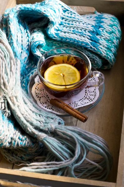 Hip tea with lemon — Stock Photo, Image