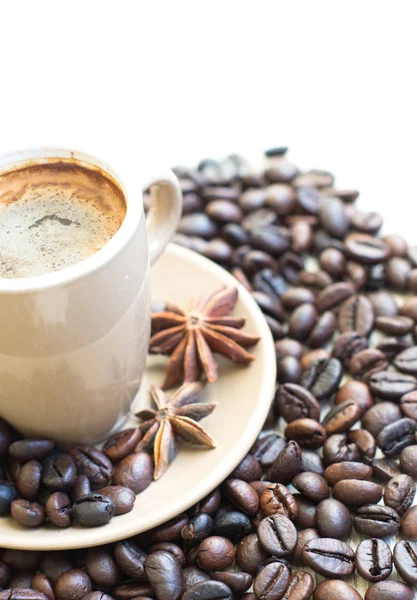 Taza de café — Foto de Stock