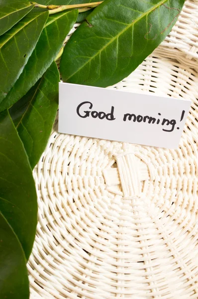 Fresh mandarine leaves — Stock Photo, Image