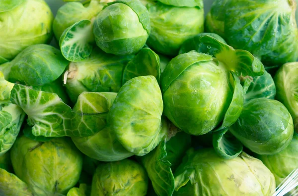 Brussels sprouts background — Stock Photo, Image