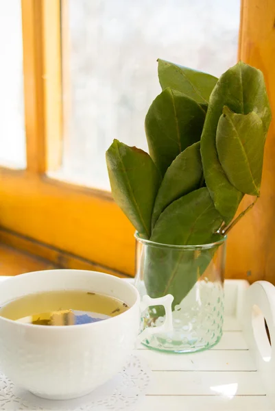 Té de la mañana — Foto de Stock