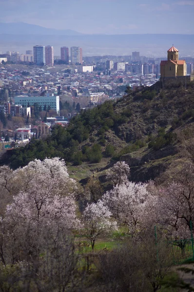 Spring in Tbilisi — Stock Photo, Image