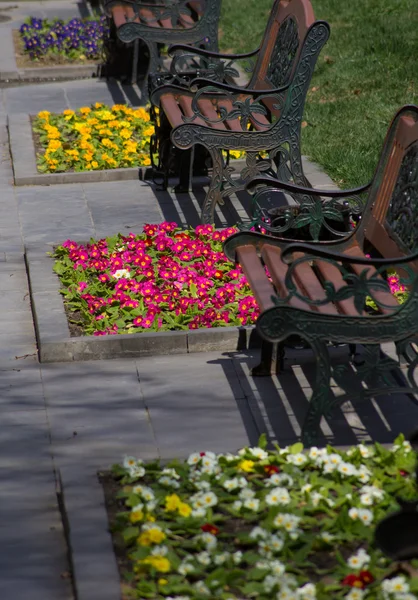 Parque da Primavera — Fotografia de Stock