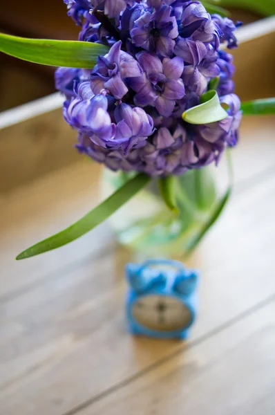 Spring time indoor — Stock Photo, Image