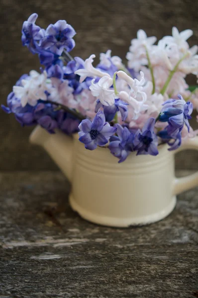 Tempo de primavera interior — Fotografia de Stock