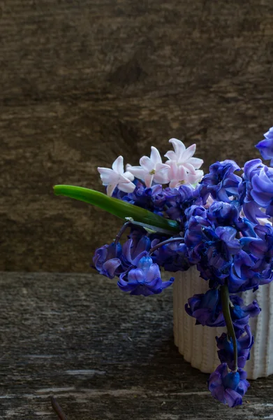 Flores de jacinto — Foto de Stock