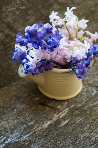 Spring time indoor — Stock Photo, Image
