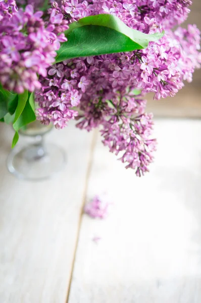 Fiori lilla nel vaso — Foto Stock