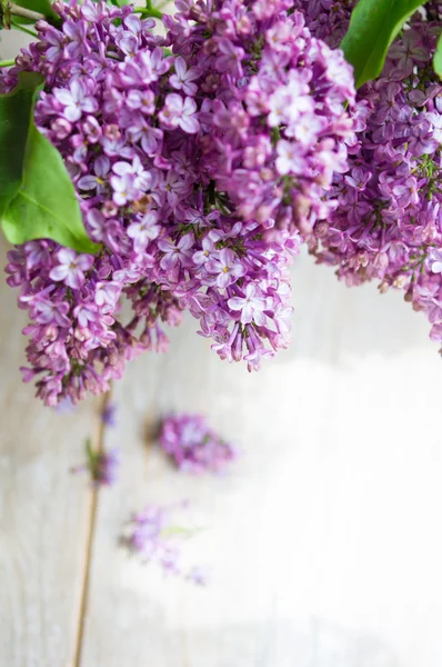 Lilac flowers in the vase — Stock Photo, Image