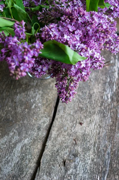 Fiori lilla nel vaso — Foto Stock