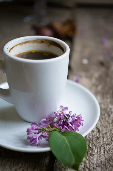 Lila bloemen en koffie — Stockfoto