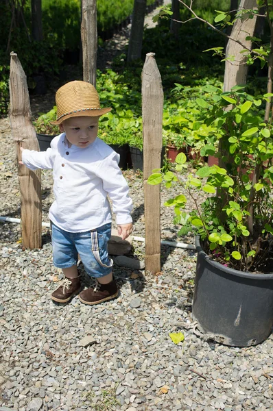Baby boy is walking — Stock Photo, Image