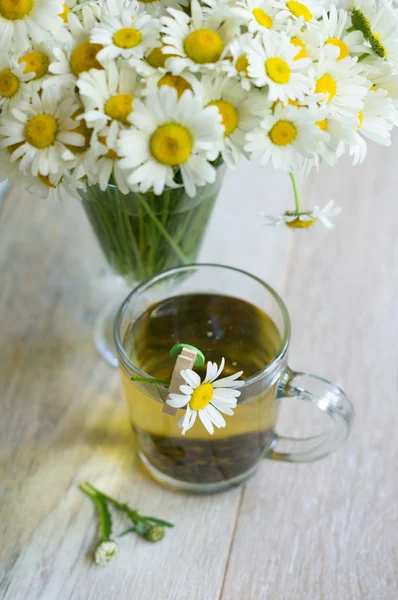 Tasse à thé et fleurs de marguerite — Photo