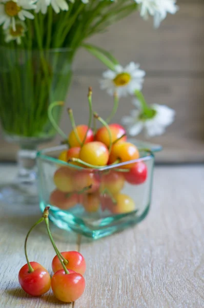 Cerises douces et fleurs de marguerite — Photo