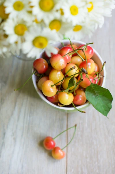 Cerejas doces e flores de margarida — Fotografia de Stock